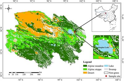 N Addition Overwhelmed the Effects of P Addition on the Soil C, N, and P Cycling Genes in Alpine Meadow of the Qinghai-Tibetan Plateau